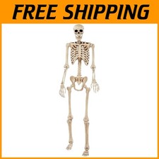 Realistic 74" Skeleton Prop for Indoor Outdoor Decor
