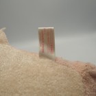 Bild 11 von 11