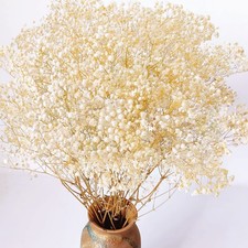 3oz Dried Babys Breath Flowers Bulk - 17.2" Ivory White Dried Flowers Bouque...