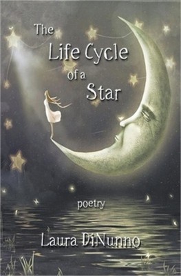 The Life Cycle of a Star (Paperback or Softback)