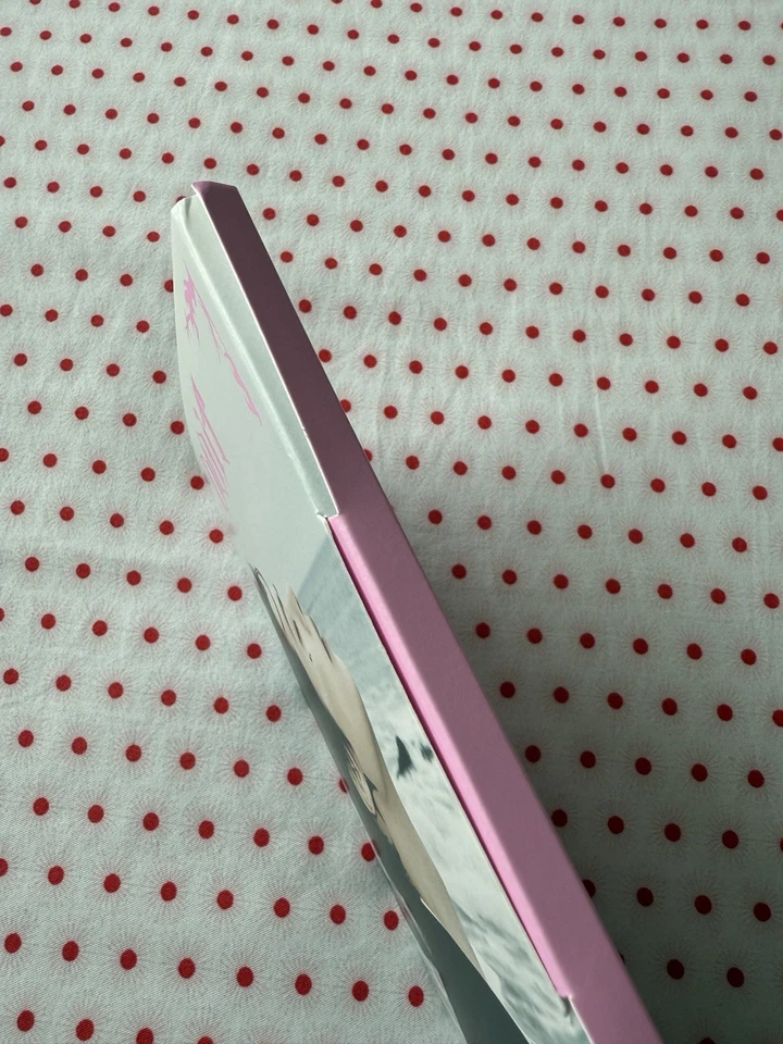 Stray Kids Lee Know Do It Accordion With Lee Know & Bang Chan Official Photocard - Image 4 of 4