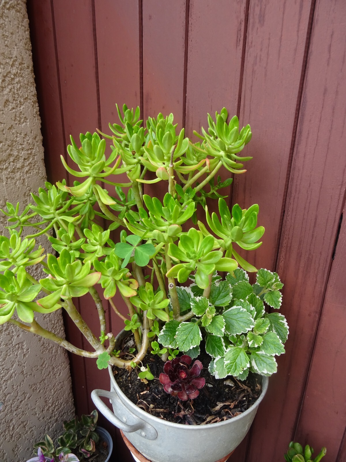 Picture 21 of 24