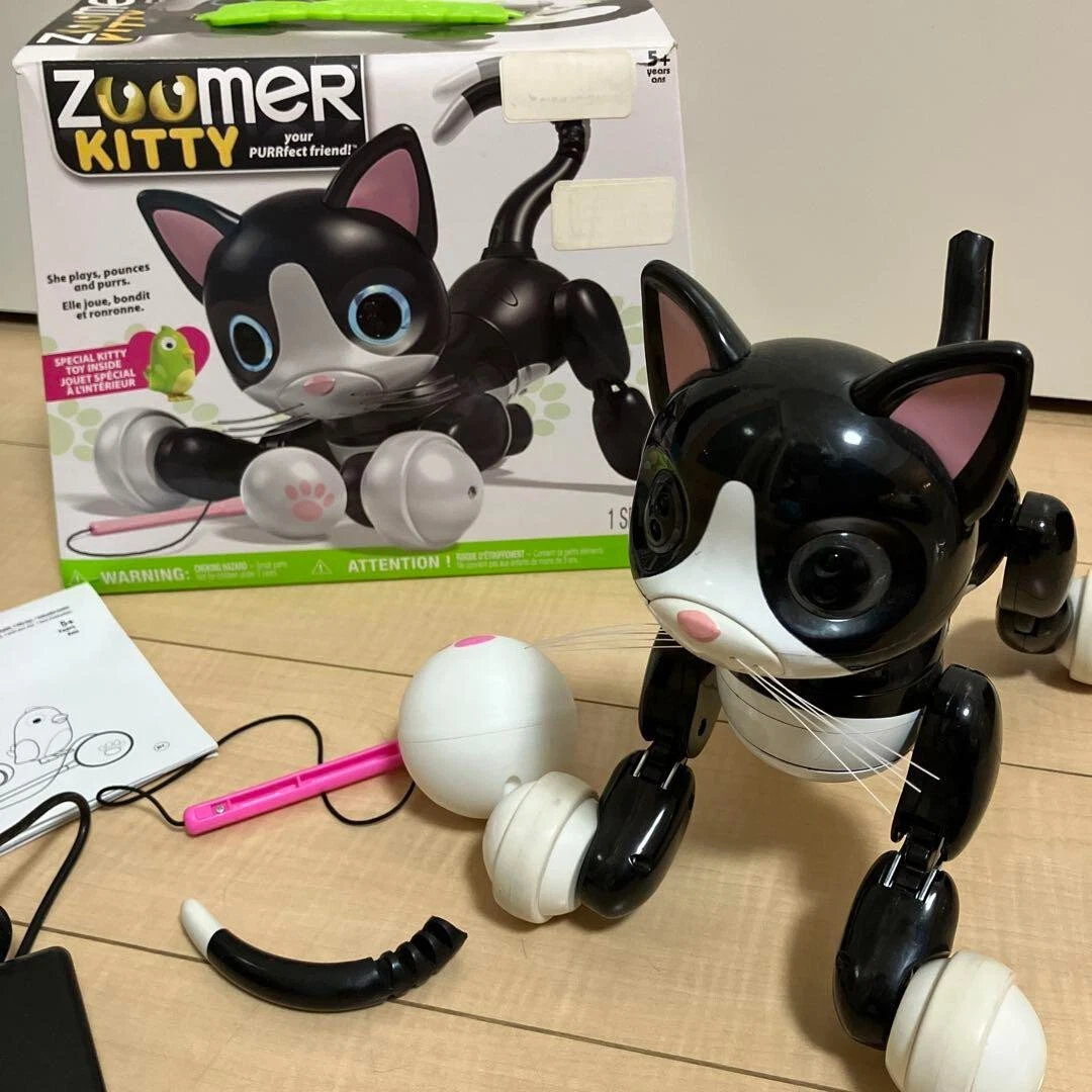 Zoomer kitty deals