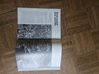 Picture 9 of 9