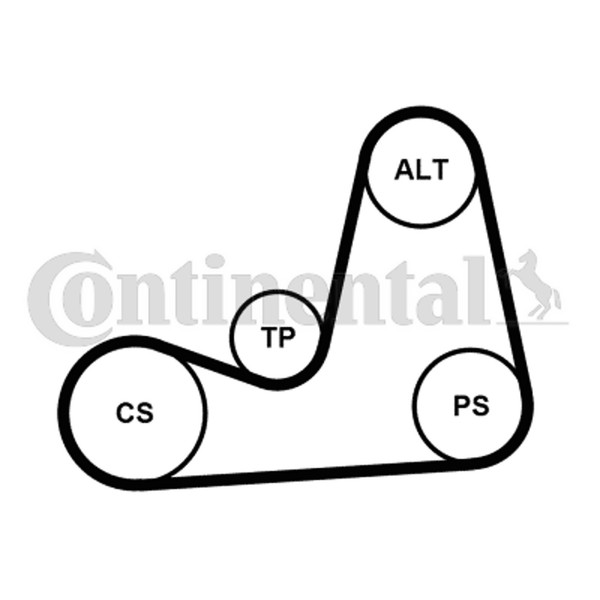 Continental Ctam Keilrippenriemensatz 5PK1110K2 FüR Renault Thalia 1 2 ScÉNic-image