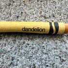 Dandelion‼️‼️ 1999 Crayola Crayons 64 Count Multicolor with Built-In Sharpener — photo 7