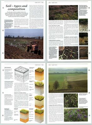 Soil Types & Composition - Habitats - The Living Countryside 2 Pages