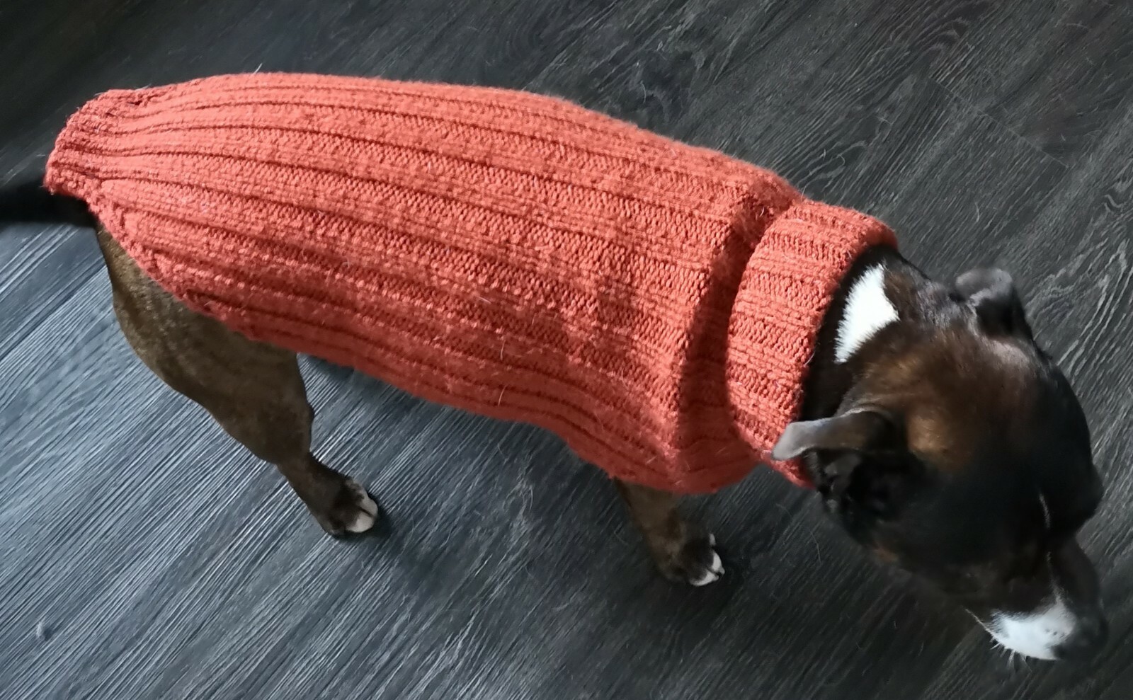 23" Overall Length.. Knitted Dog Coat/Jumper.. MIXED Purple /Pink