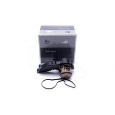 Thermostat Audi A8