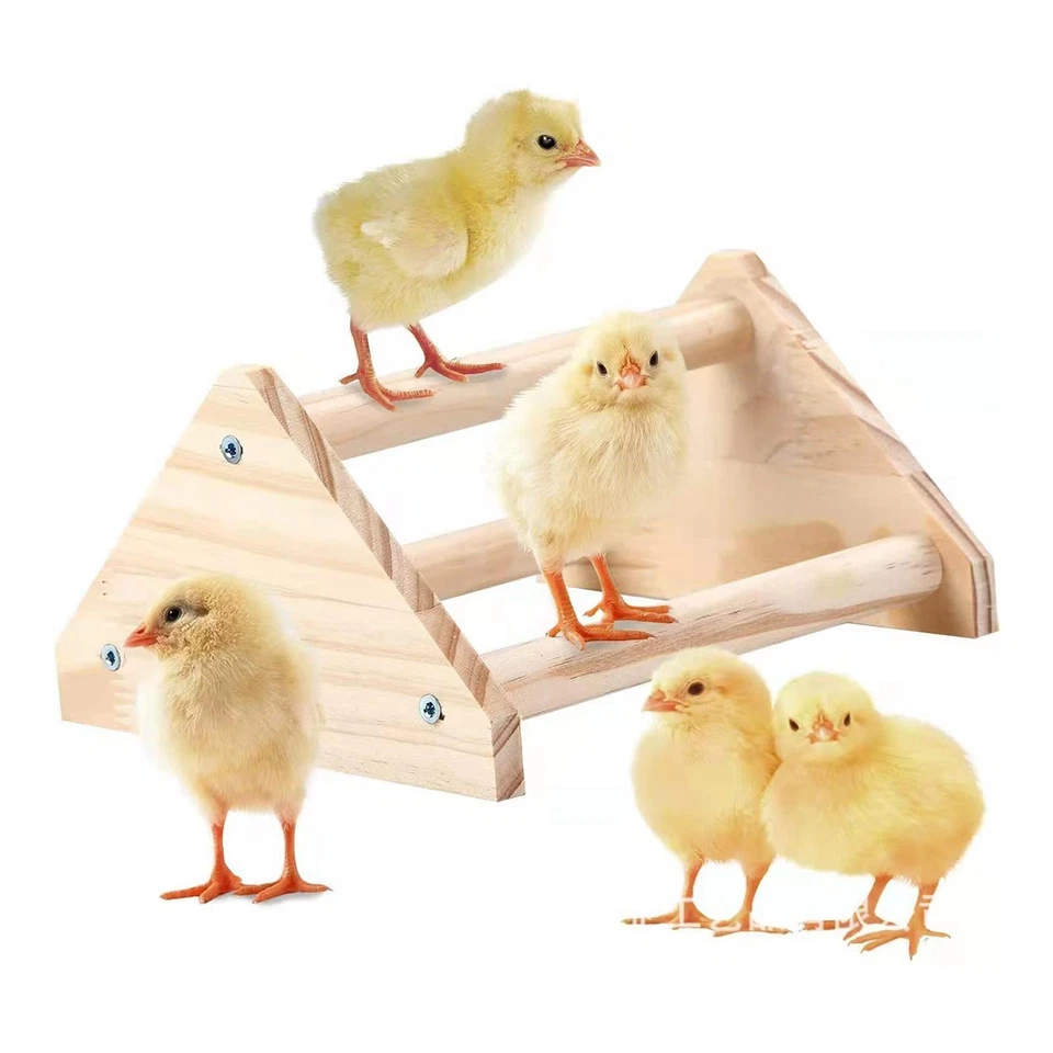 Perchoir de poulet, jouet en bois, support pour couveuse, grandes poules - Photo 2/4