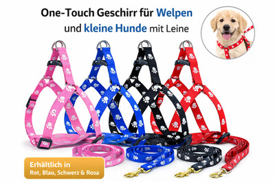 Nylon Hundegeschirr und LeineOne T Brustgeschirr Kleine Hunde Welpengeschirr*