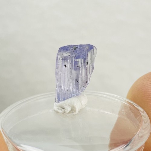 0.62g Tanzanite Crystal Heated Blue Purple Rough Specimen 14.66mm - Picture 9 of 12