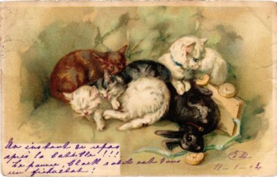 PC CATS CAT FAMILY (a2151)