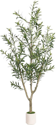 6Ft Faux Olive Tree with White Planter - Realistic Indoor Home Decor