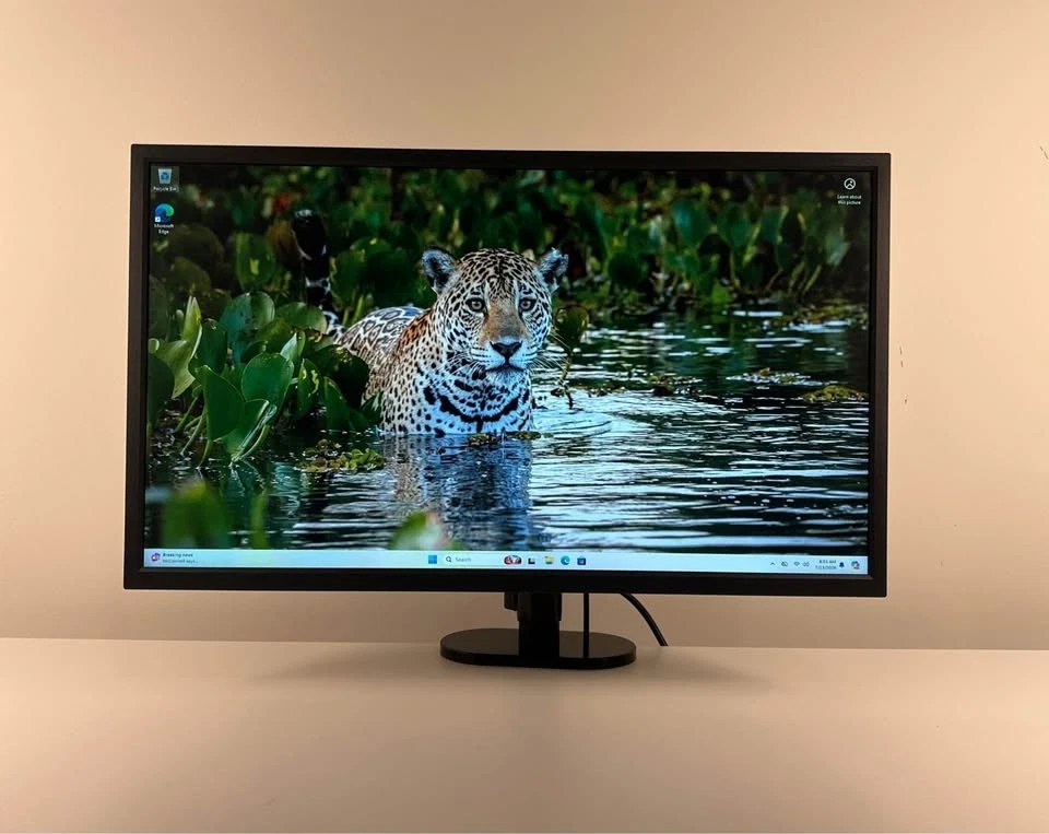 TN LCD 240 Hz Computer Monitors for sale - eBay