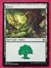Magic The Gathering DUEL DECKS ANTHOLOGY GARRUK VS LILIANA FOREST 31 card MTG