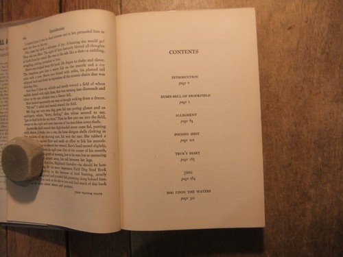 Daughter Delilah , Wedding Gift, and Dumb-bell by John Taintor Foote 1st eds HBs - Foto 2 di 3