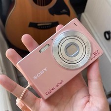 Sony Cyber-shot DSC-W510 12.1MP Digital Camera 4x Optical Zoom Panorama Pink