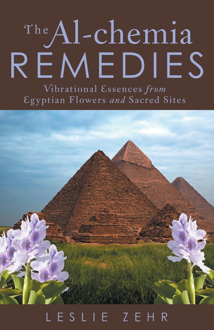 Thumbnail - Leslie Zehr | The Al-chemia Remedies | Taschenbuch | Englisch (2016) |