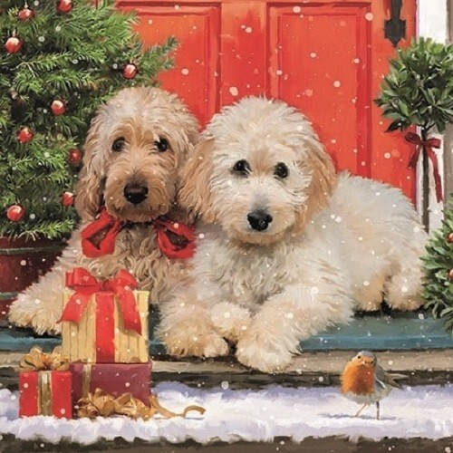 4 x Single Napkin/3Ply/33cm/Decoupage/Christmas/Dogs/Dogs Waiting at the Door