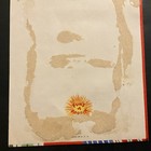 Picture 5 of 5