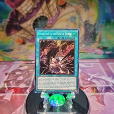 Deception of the Sinful Spoils ROTA-EN055 1st Edition Secret Rare NM Yugioh