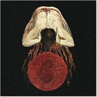 Voidgazer / Rituals Of Extinction - Cd - G72Z