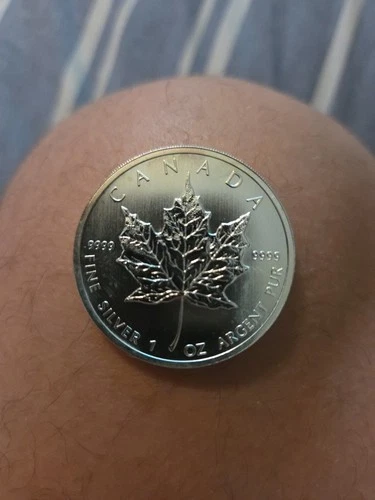 2012 Canadian Silver Maple Leaf 1 oz — photo from the most recent tracked eBay sale