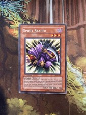 Spirit Reaper - PGD-076 - Rare - MP - Yugioh