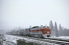 Western Pacific 806A at Soda Springs Road, April 17, 2004 5 x 7 Photo