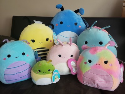 Insect Squishmallows Lot 