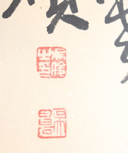 Wu Chang Shuo (1844-1927), pintura de pergaminos chinos, tinta y acuarela, ingenio - Imagen 9 de 13