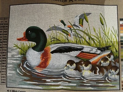 Printed Needlepoint Canvas Only Collection D Art Ducks 40x50 Cm