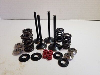 02-06 Honda CRF450R CRF 450R Kibblewhite Intake & Exhaust Valves Springs Seals - Foto 3