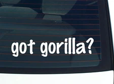 got gorilla? CAR DECAL BUMPER STICKER VINYL FUNNY JOKE WINDOW