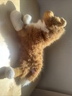 Douglas Cuddle Toys Sheba Collie 16" Realistic #2017 — photo 3