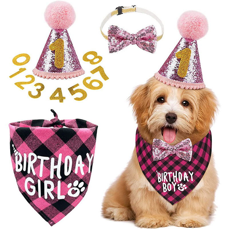 Pet Dog Cat Happy Birthday Hat Headwear Bandana Neckerchief Ties Party