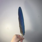 Blue & Yellow MACAW Feathers           DIY Crafts, Decorations — photo 10
