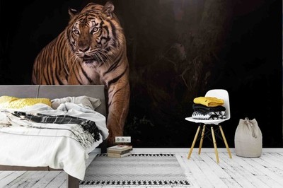 3D Bengal Tiger Animal Close-up Wall Murals Wallpaper Murals Wall Sticker