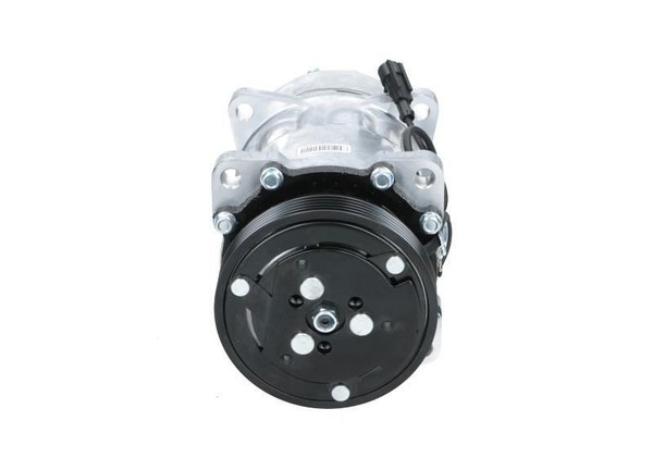 BV PSH Kompressor, Klimaanlage 090.225.013.876 FüR CitroËN Passend FüR Fiat-image