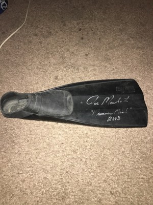 Mamma Mia Broadway Musical Joe Machota Flipper Signed Prop Abba Original 01 03 Ebay