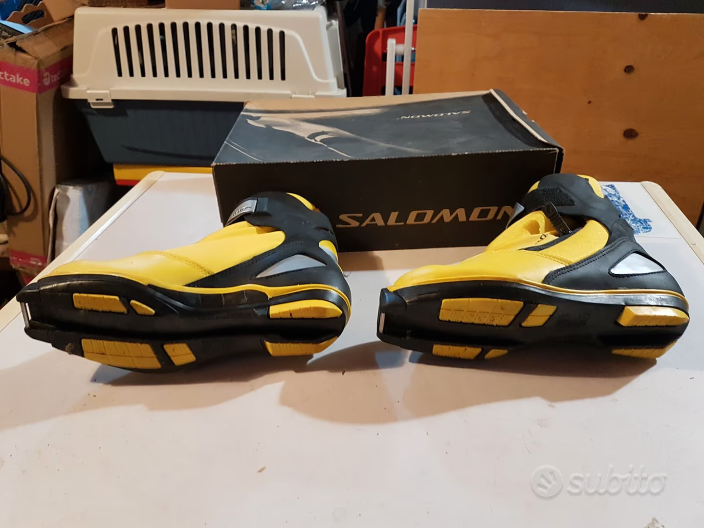 SALOMON sci