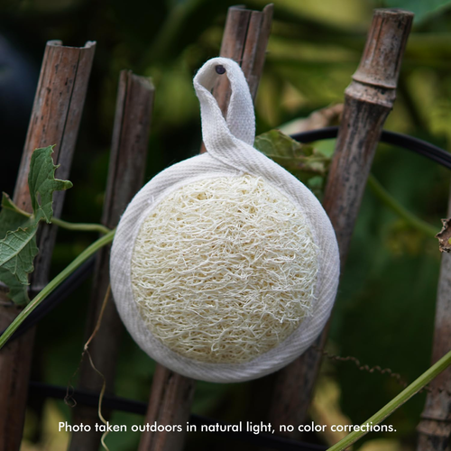 Natural Loofah Gentle Exfoliating Face Scrubber (12 Pack) - Organic Facial Clean - Picture 6 of 12