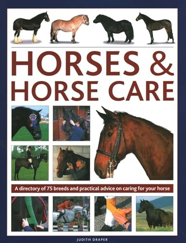 Horses & Horse Care by Judith Draper (Hardback Book) - Image 5