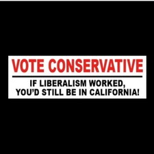 Funny Vote Conservative Anti Joe Biden Liberal Bumper Sticker Gun Rights Decal Funny Vote Conservative Anti Joe Biden Liberal Bumper Sticker Gun Rights Decal