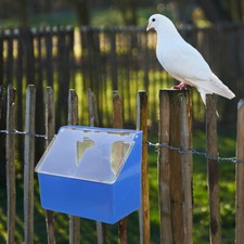Bird Feeding Station Hanging Food Box Pigeon Feeder Cup Household