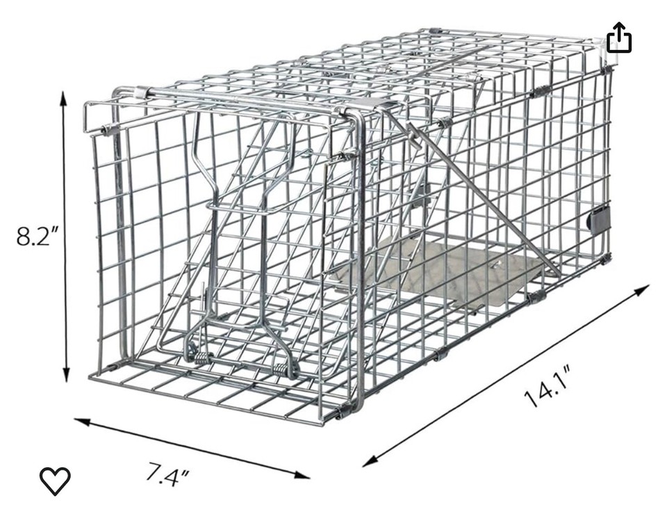 NEW Gingbau Live Animal Trap for Squirrels, Small Rabbits and More eBay
