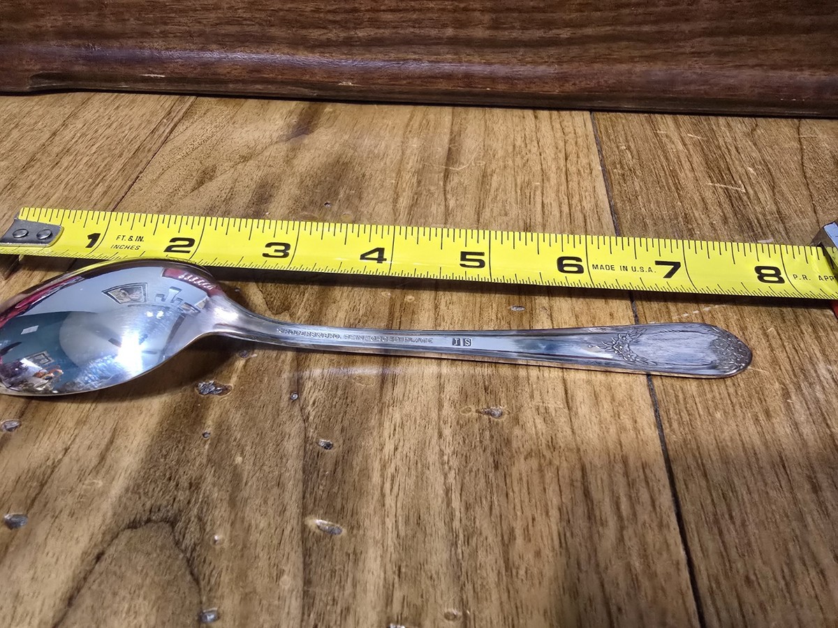 49 Piece 1847 Rogers Bros. Silver Plated Silverware W/ Box