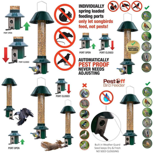 Squirrel Proof Wild Bird Feeder Mixed Seed Sunflower Heart