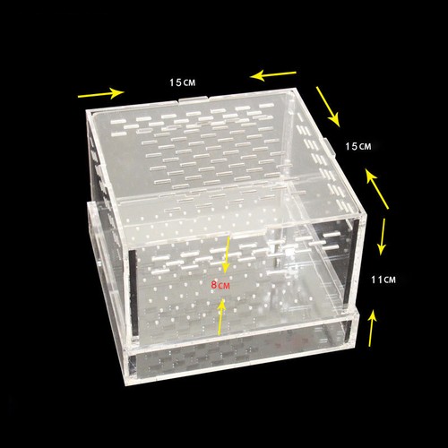 Live Mealworm Barley Pest Feeding Box Acrylic Yellow Mealworm Cage Transparent - Picture 6 of 6